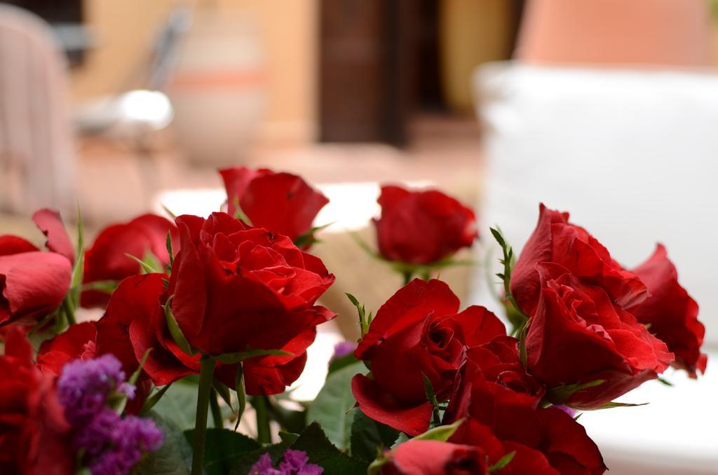 Riad Hadda Marrakesh Ngoại thất bức ảnh
